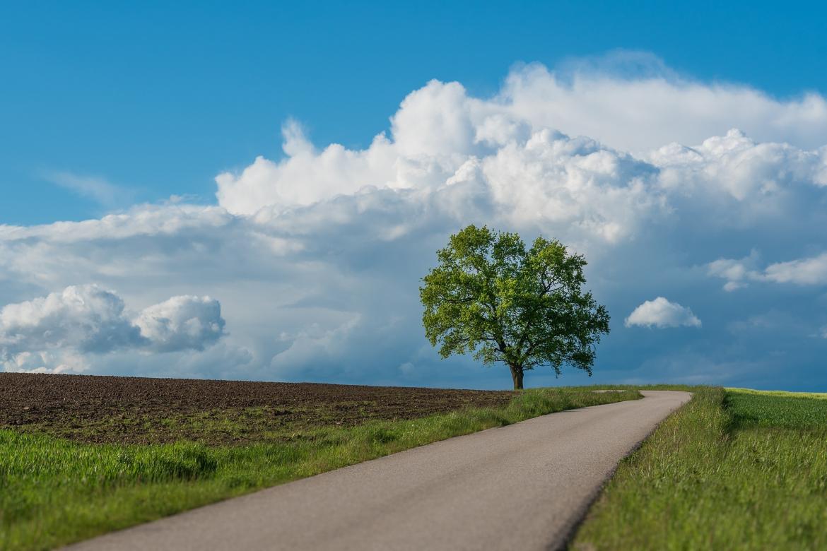 Environnement et Urbanisme