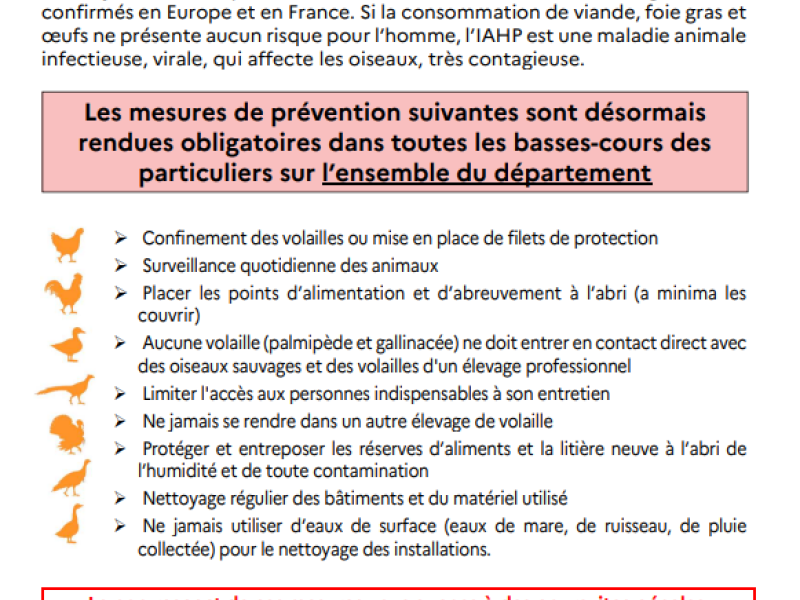 affiche