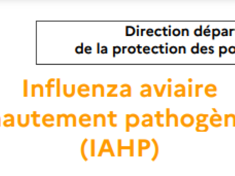 Influenza aviaire
