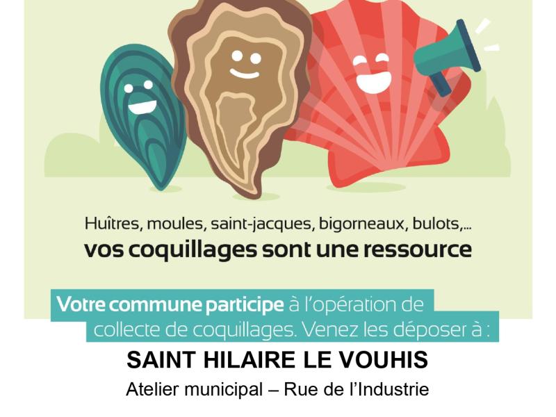 Collecte des coquillages